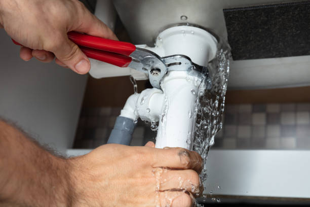Best Sewage cleanup and water damage restoration  in Williamston, MI