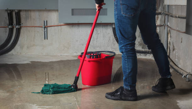Best Carpet water damage restoration  in Williamston, MI