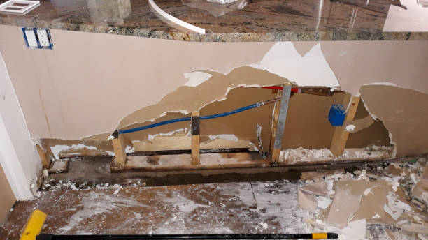 Best Ceiling water damage repair  in Williamston, MI