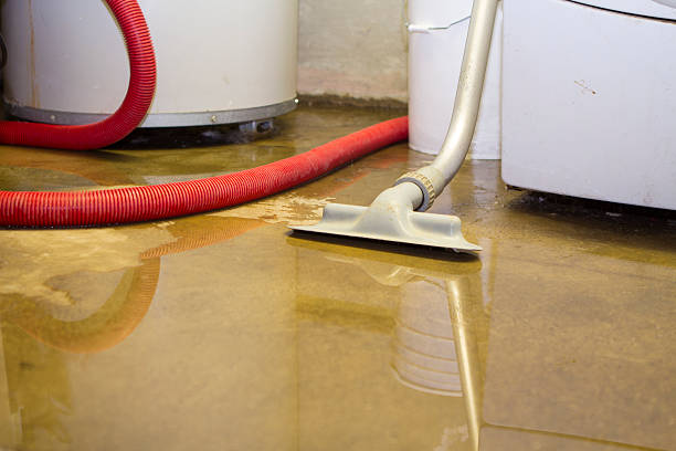 Water damage restoration mold remediation in MI