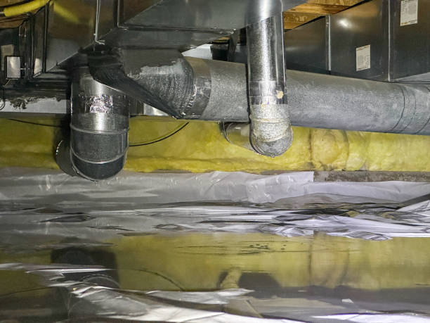 Best Water damage cleanup near me  in Williamston, MI