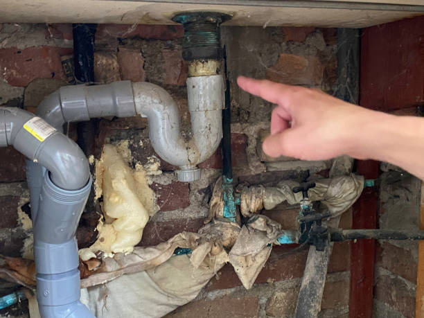 Best Flooded house restoration  in Williamston, MI