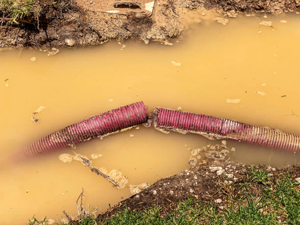 Best Water damage restoration near me  in Williamston, MI
