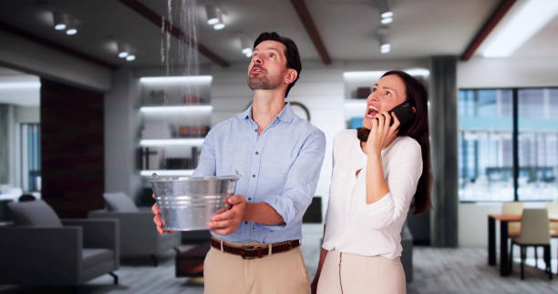  Williamston, MI Water damage restoration Pros