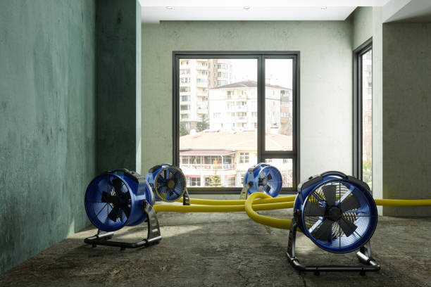 Best Ceiling water damage repair  in Williamston, MI