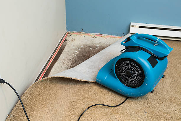 Best 24/7 water damage repair  in Williamston, MI